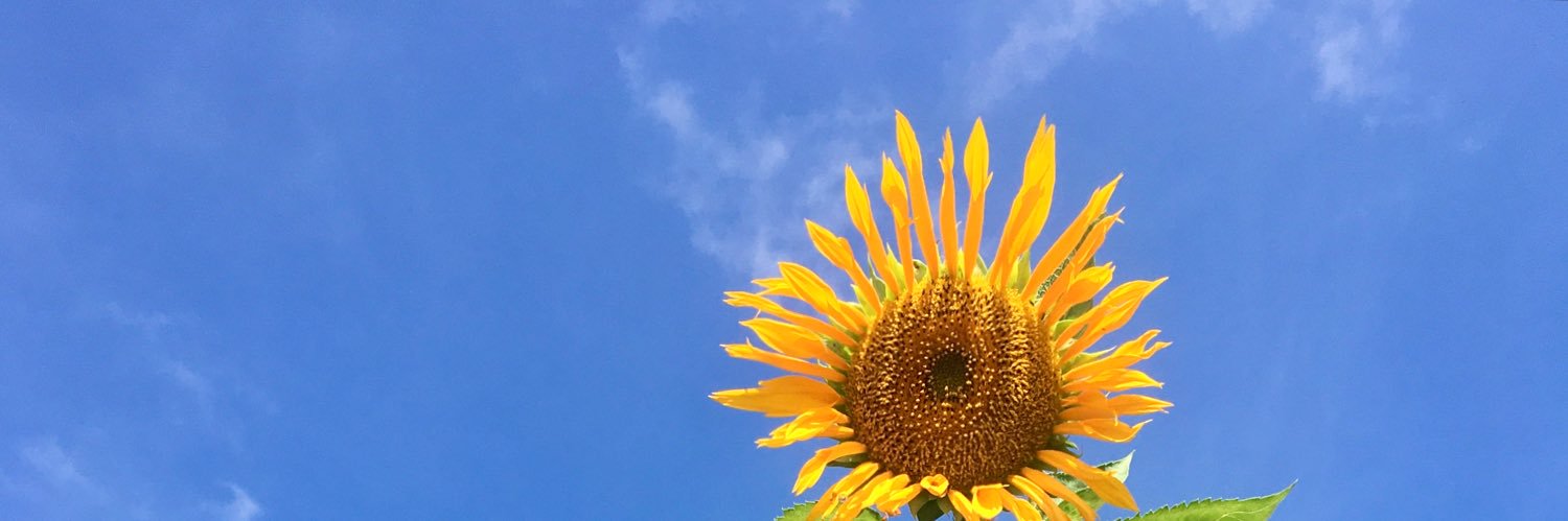 Hasanahnuruuul's profile banner image