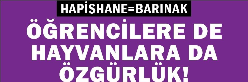 Psikolojik Dan. Tuğan🏴🌱 banner