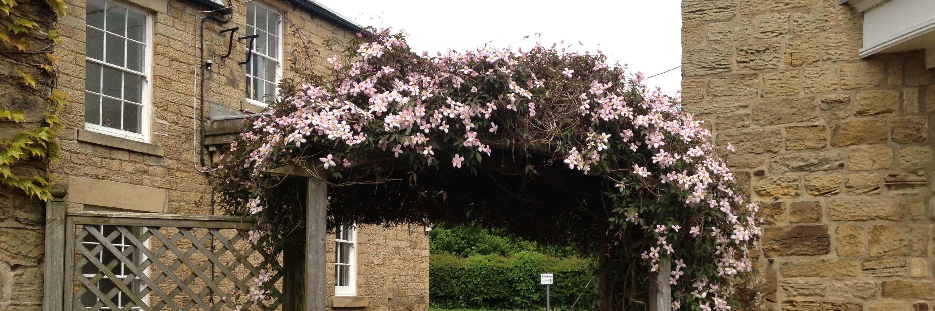 David_Huthwaite's profile banner image
