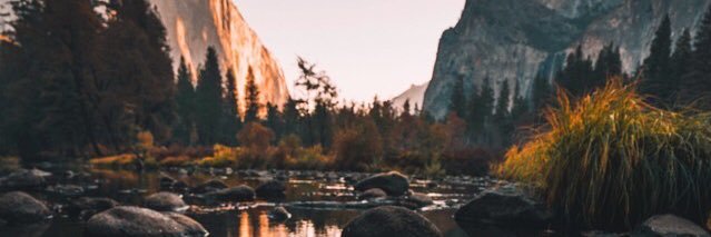 tiggity1's profile banner image