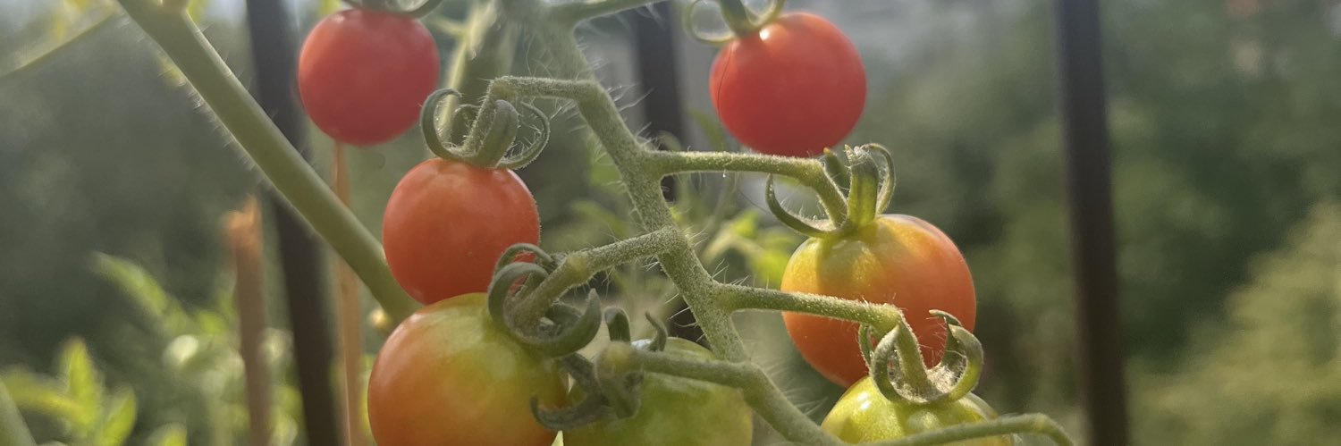 Norbert Woźniak banner