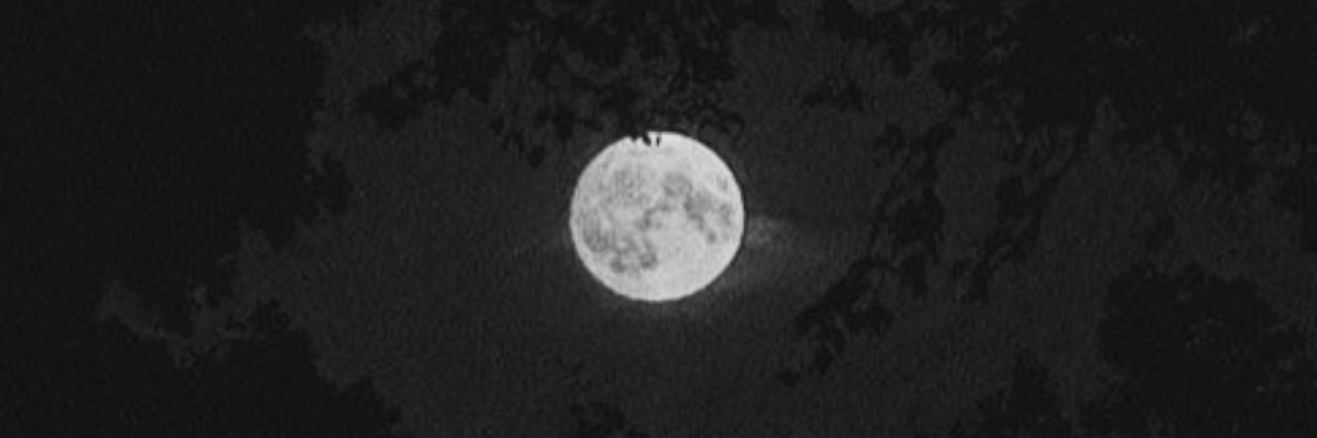 Darkwolf_666's profile banner image
