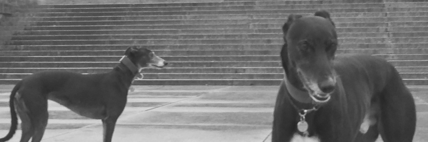 end of an era. find human @brazenjules banner