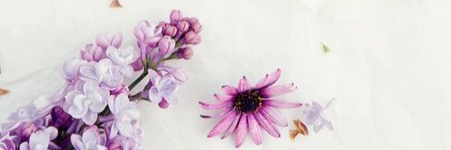 Kacielam's profile banner image
