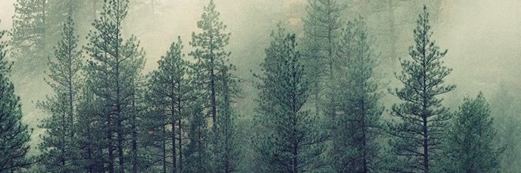 itsjust14words's profile banner image