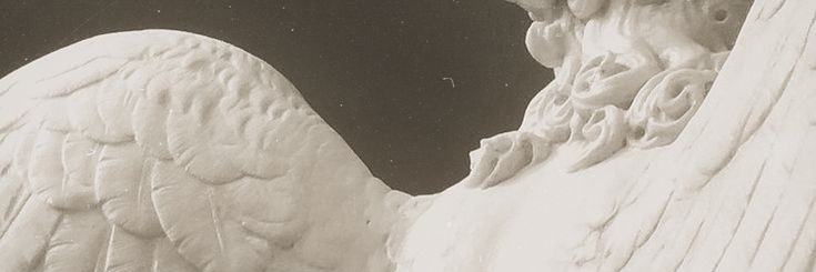 Limón! 𝘁𝗲𝗻𝗱𝗿𝗮́ 𝗯𝗼𝗹𝗲𝘁𝗼 𝗽𝗮𝗿𝗮 𝗕𝗧𝗦! banner