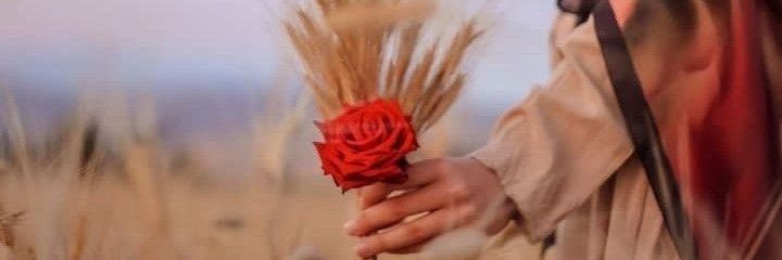 Iqram🌹's banner