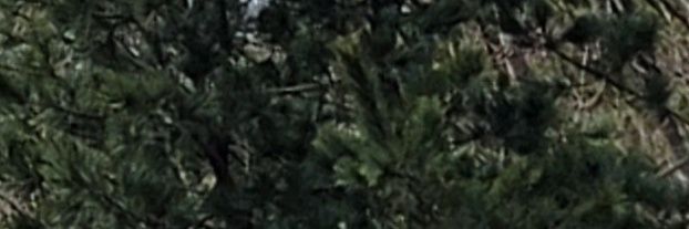 gekahem's profile banner image
