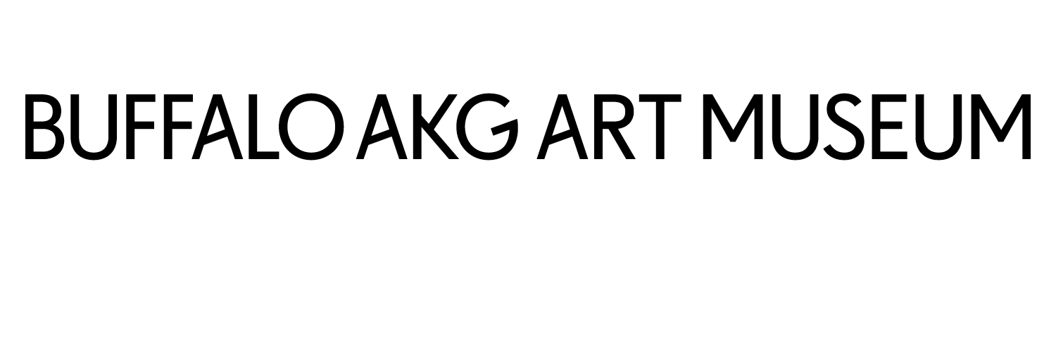 Buffalo AKG Art Museum banner