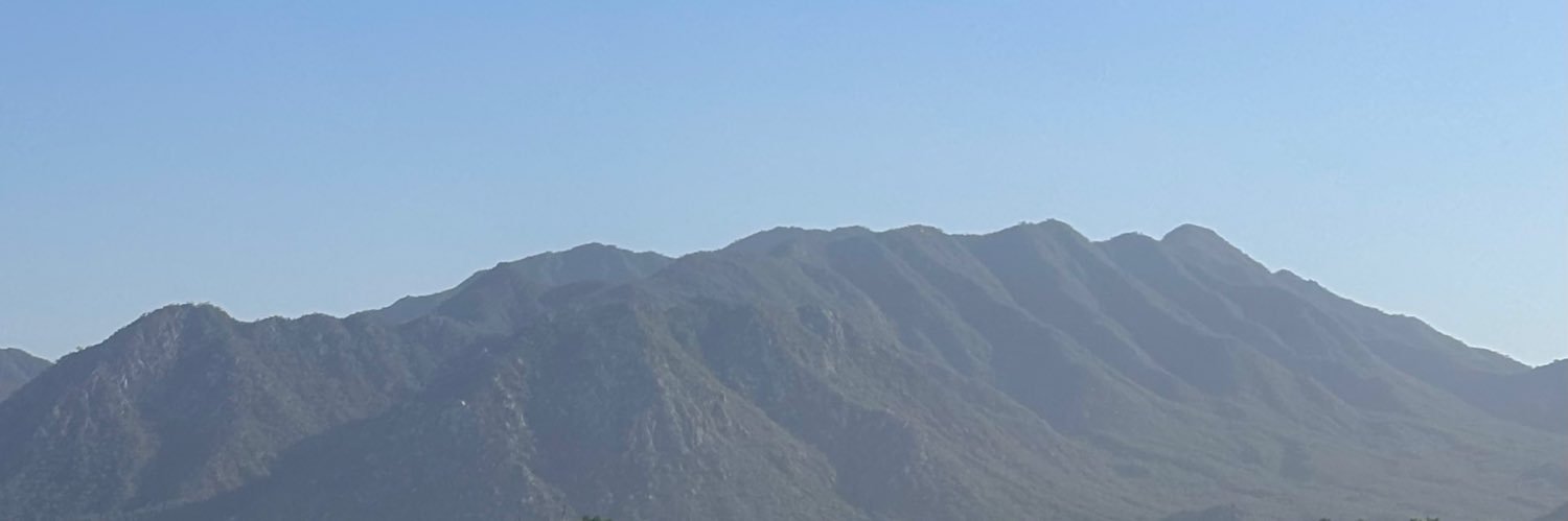Sarah_Gut's profile banner image