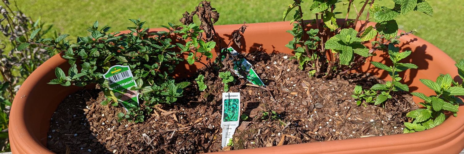 Beth Death 💀😈😺 banner