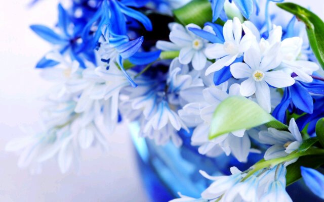Ayufbrnt's profile banner image