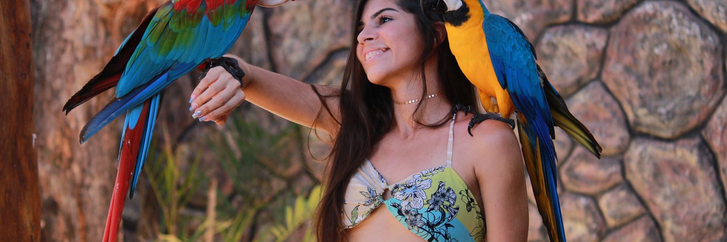 Nathy campadelle banner