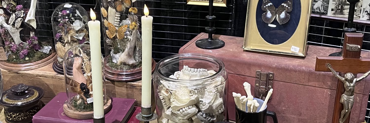 sav 🦷🕷️🕸️🥀🪦 banner