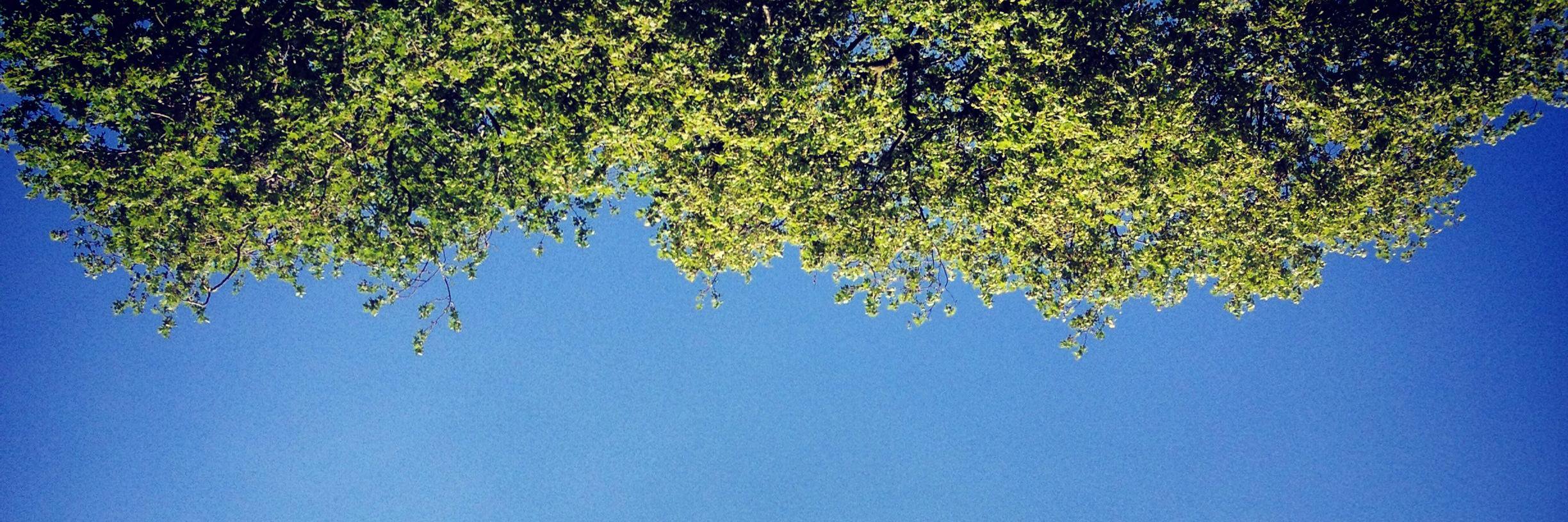 ColmBritton's profile banner image