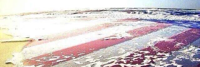 Chris Oxendine banner