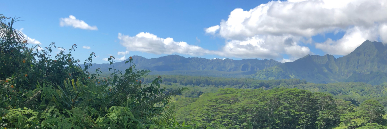 Brian Partridge banner