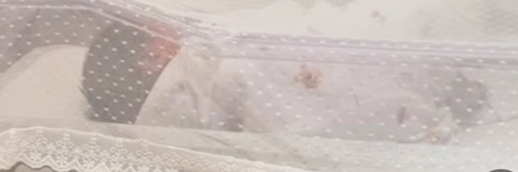 mayylbs's profile banner image