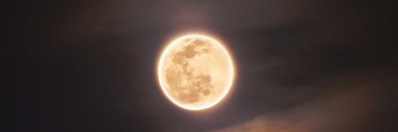 shanewts_'s profile banner image