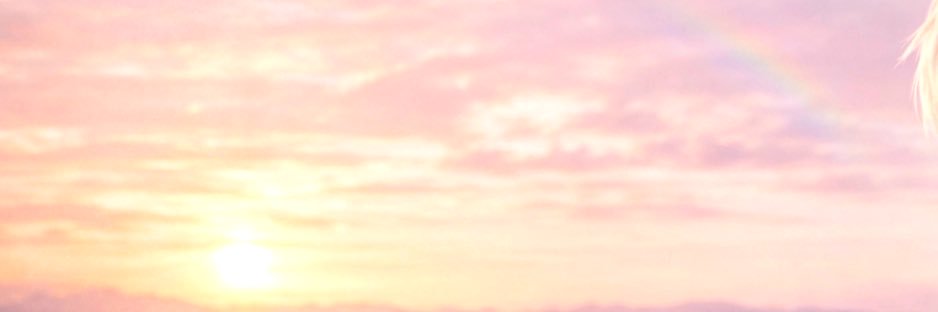 ACE banner