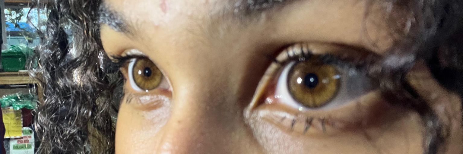 cicecnunes's profile banner image