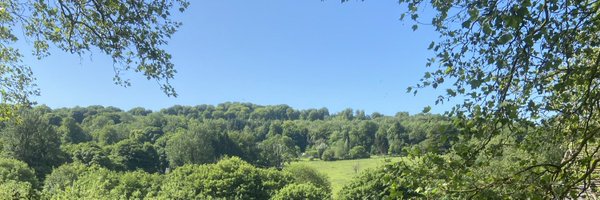 Pasztor Profile Banner