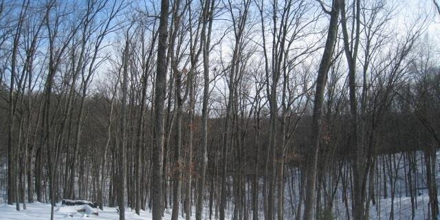 EricJamesOlson1's profile banner image