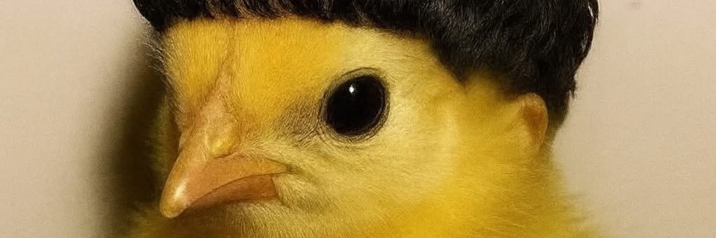 Pollo300_'s profile banner image