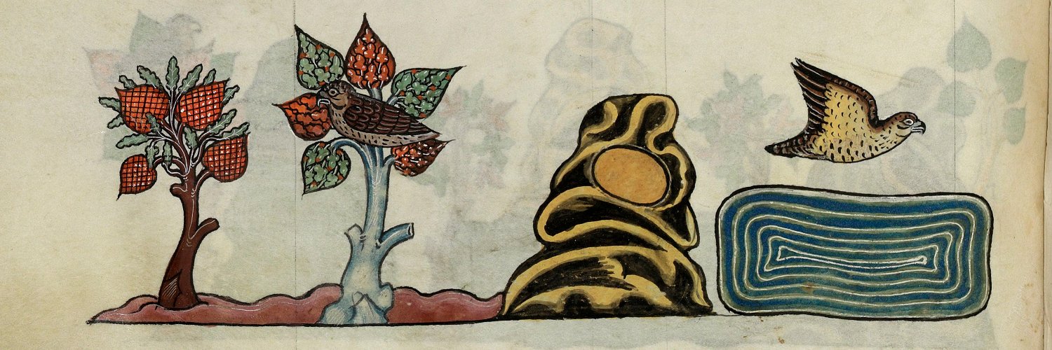 Maeve Doyle, PhD banner