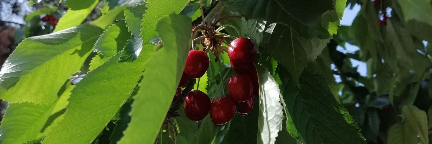eylem_74's profile banner image