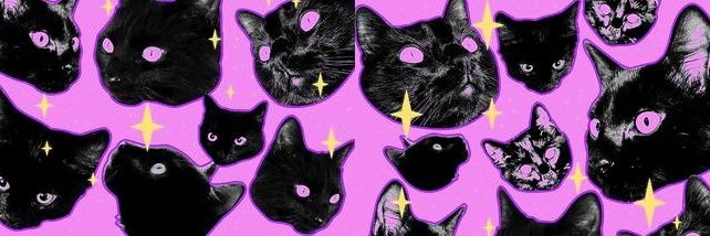 𝙱𝚎𝚎𝚕𝚕𝚊𝚙𝚘𝚛𝚛𝚊 banner