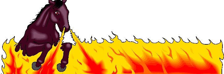 doolander22's profile banner image
