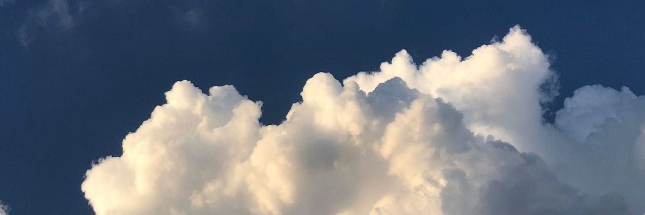 blu²⁶ banner