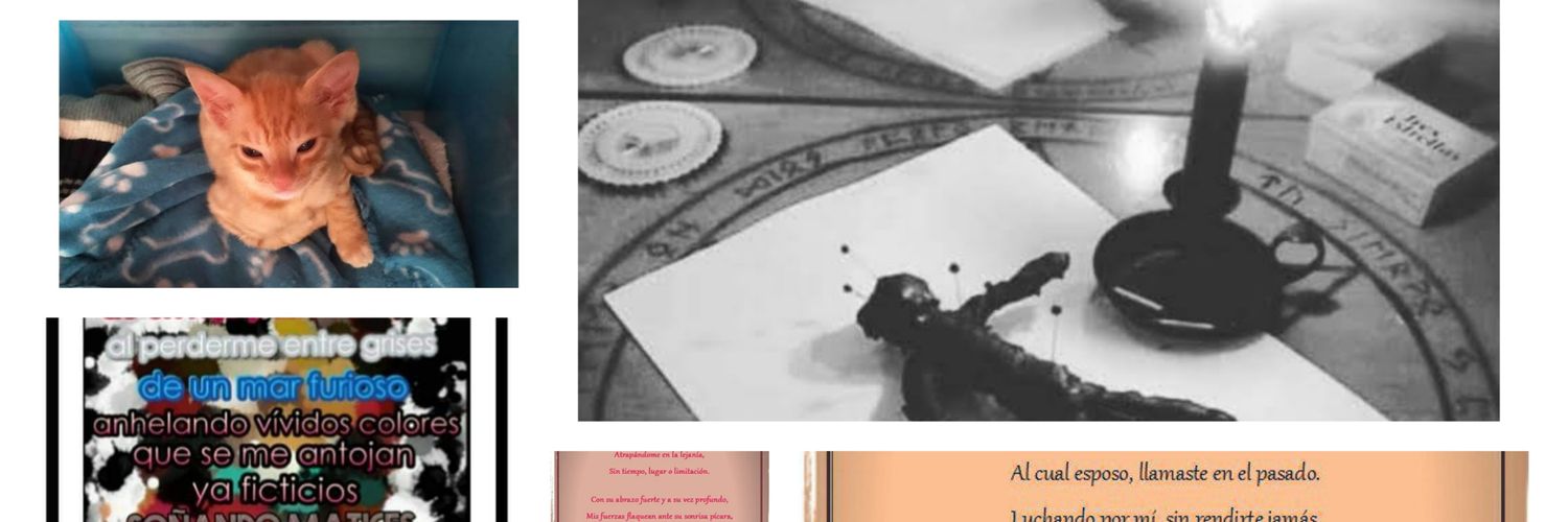 EsdrasCalvo's profile banner image