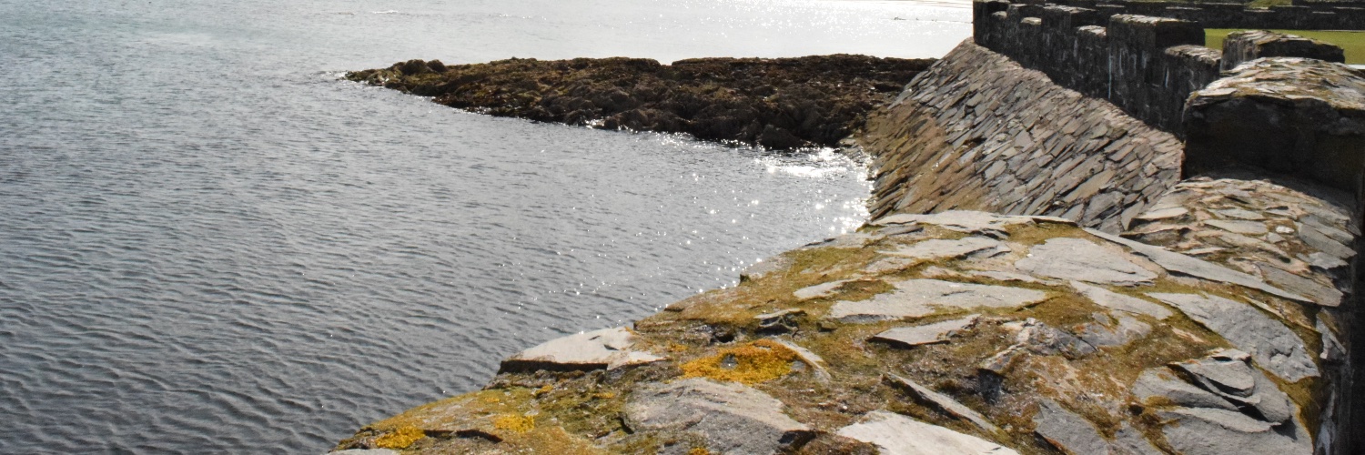 Historical Daisy banner