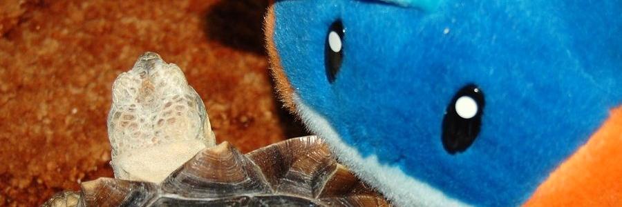 JessicaCalmes's profile banner image