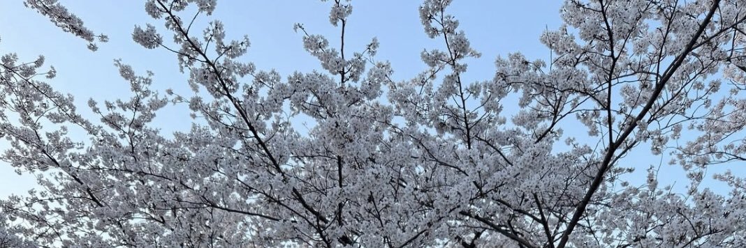 みずき banner
