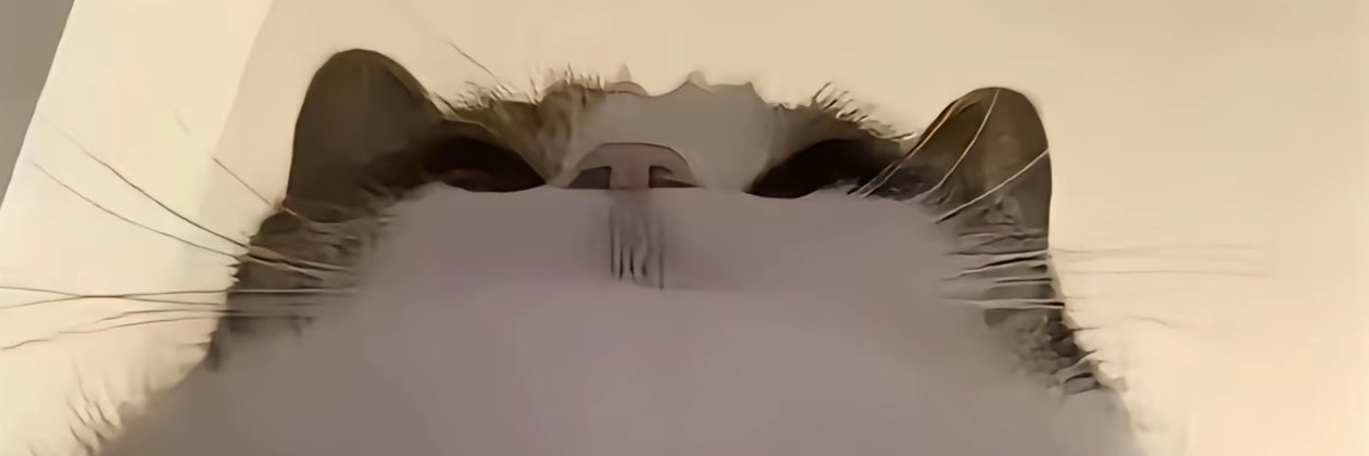 mega741963's profile banner image