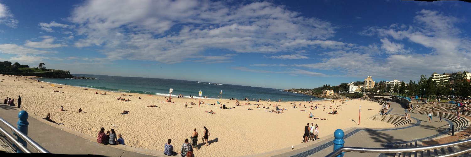 Prof. Cath Ellis banner