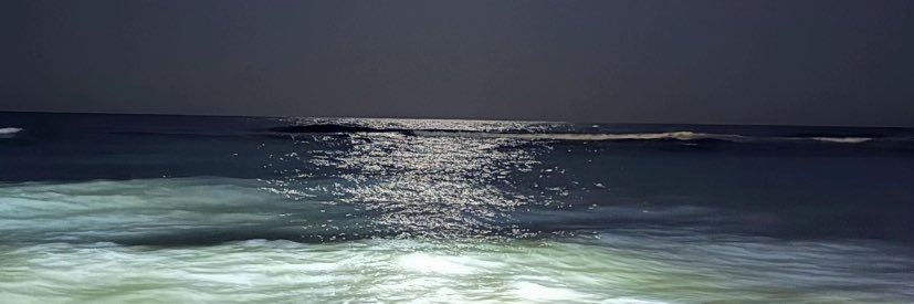 فَاطِمَه🪼 banner