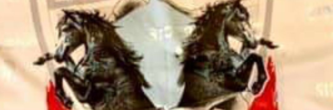 castida1983's profile banner image