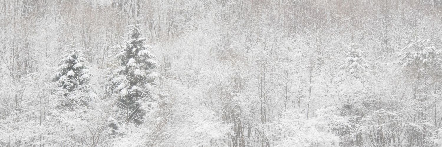 IDelmaschio's profile banner image