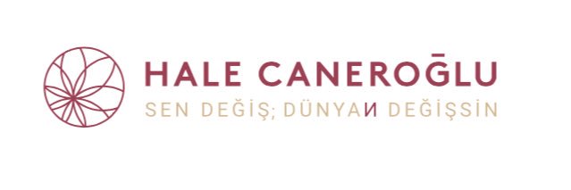 hale_caneroglu's profile banner image