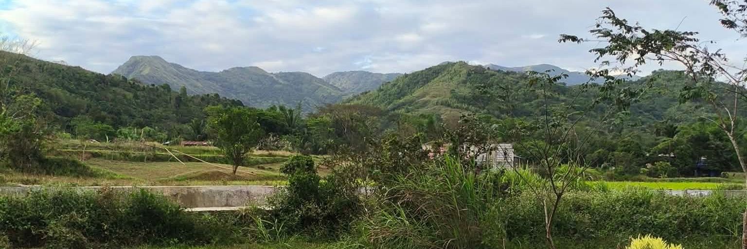 Jd Del Rosario banner