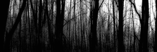 stephispsycho Profile Banner