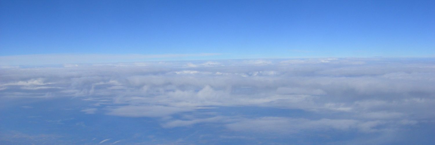 Ree ❤ Vivaldi banner