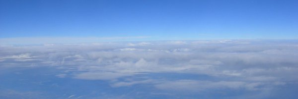 Ree Profile Banner