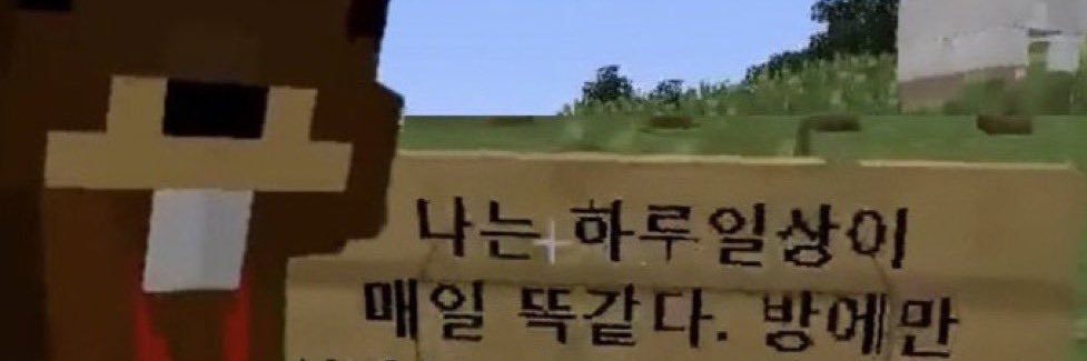 감이 banner