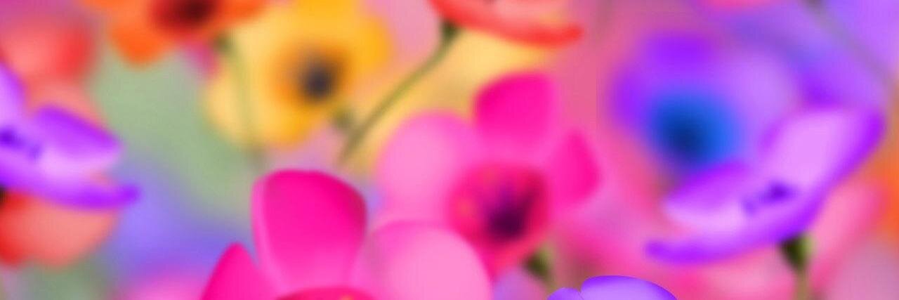 NinisOA13's profile banner image