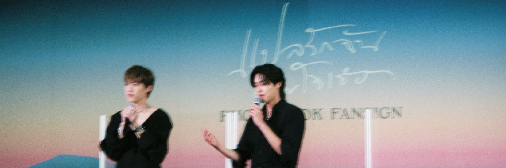 .❀。• *₊° banner